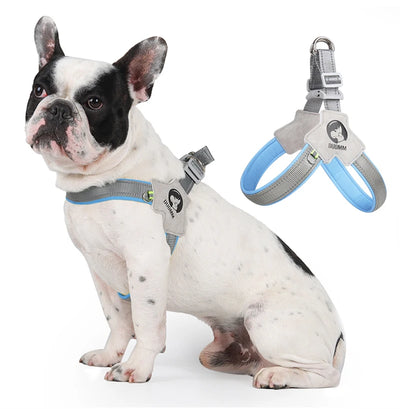 Dogs Puppy Harnesses