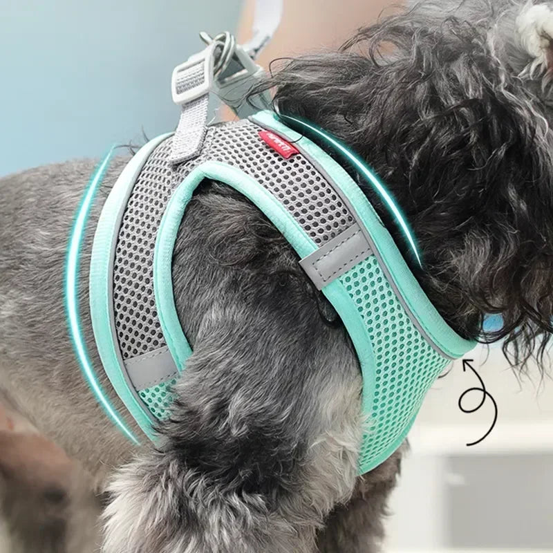 Breathable Adjustable Outdoor Walking Pet Supplies