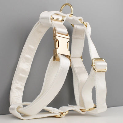 Pet Accessories Dog Collar Leashes Harness