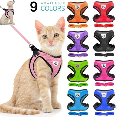 Dogs Puppy Harness Collar Cat Dog Adjustable